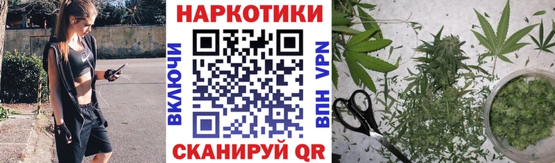 Где купить наркотики Тайшет ГАШИШ КОКАИН Меф Каннабис