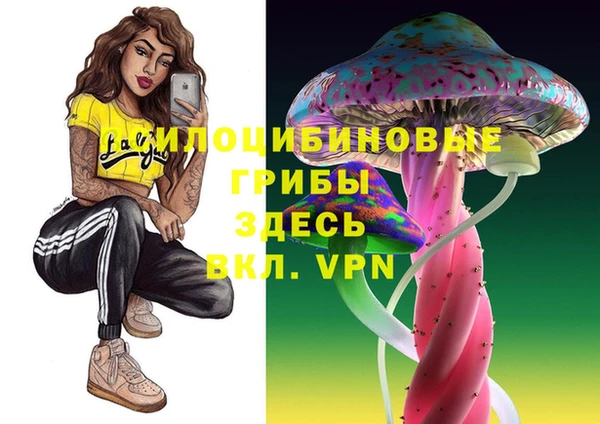 mdpv Медногорск