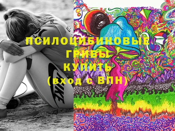 mdpv Медногорск