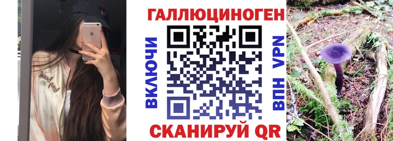 дарнет шоп  Тайшет  Псилоцибиновые грибы Psilocybine cubensis 