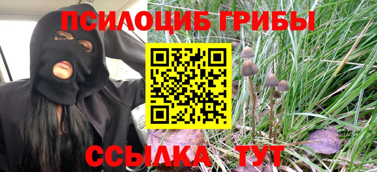 Псилоцибиновые грибы GOLDEN TEACHER  Тайшет  Галлюциногенные грибы прущие грибы 