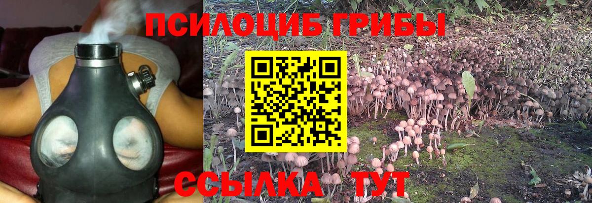Тайшет  Псилоцибиновые грибы ЛСД  Вход с VPN 