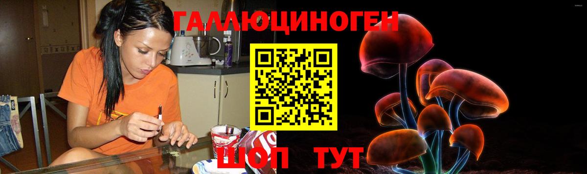 Псилоцибиновые грибы Psilocybine cubensis Тайшет