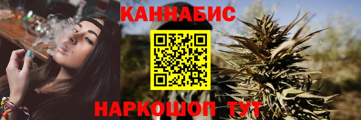 Марихуана Bruce Banner  Тайшет  Конопля OG Kush  Конопля конопля 